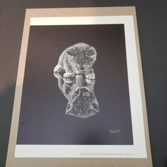 Vintage 70s Droguett Kitten Reflection Print Art Cute - Picture 2 of 12